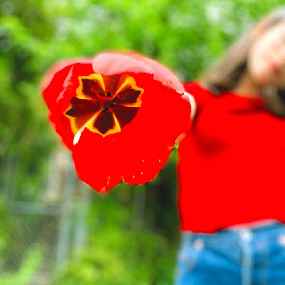 Red Brandy Melville shirt